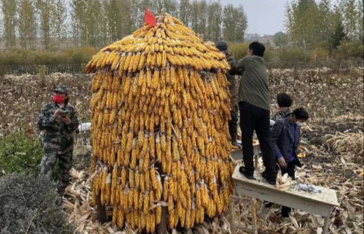 1665303305_866950.jpg 1665303305_866950.jpg