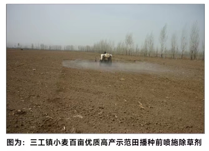 1716625625_420942.jpg 1716625625_420942.jpg